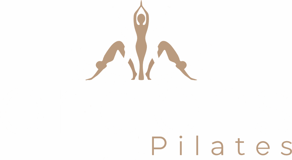 Origens Pilates